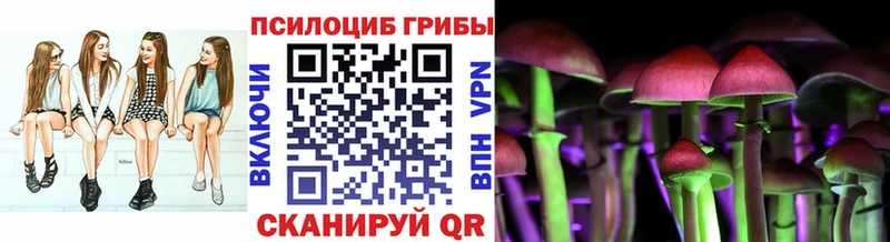 наркота  Нижние Серги  Псилоцибиновые грибы мухоморы 