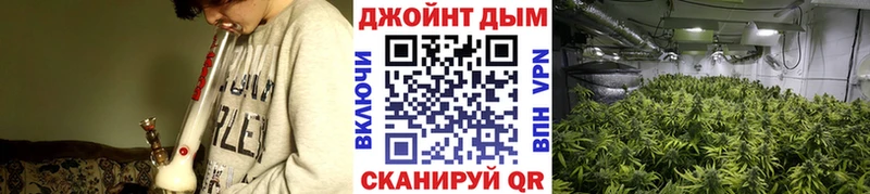 Бошки марихуана THC 21%  купить наркоту  сайты даркнета клад  Нижние Серги 